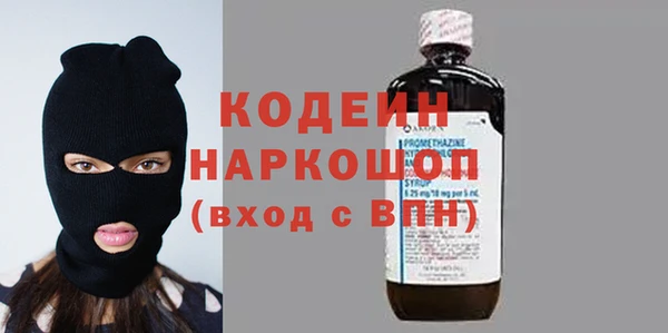 гашик Арсеньев