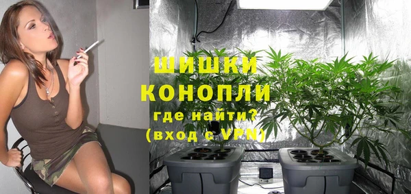 ГАЛЛЮЦИНОГЕННЫЕ ГРИБЫ Армянск