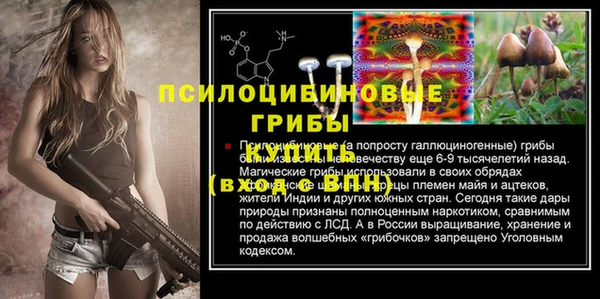 эйфоретик Аркадак