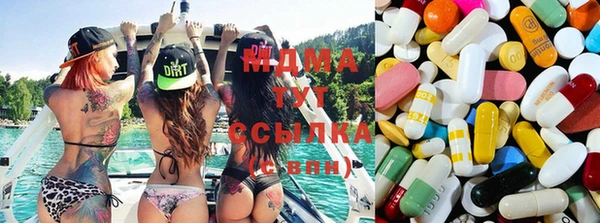 эйфоретик Аркадак