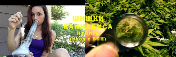 гашик Арсеньев