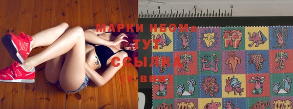 гашик Арсеньев