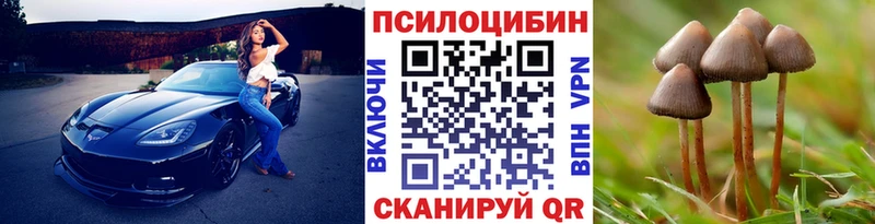 Галлюциногенные грибы Magic Shrooms  Новодвинск 
